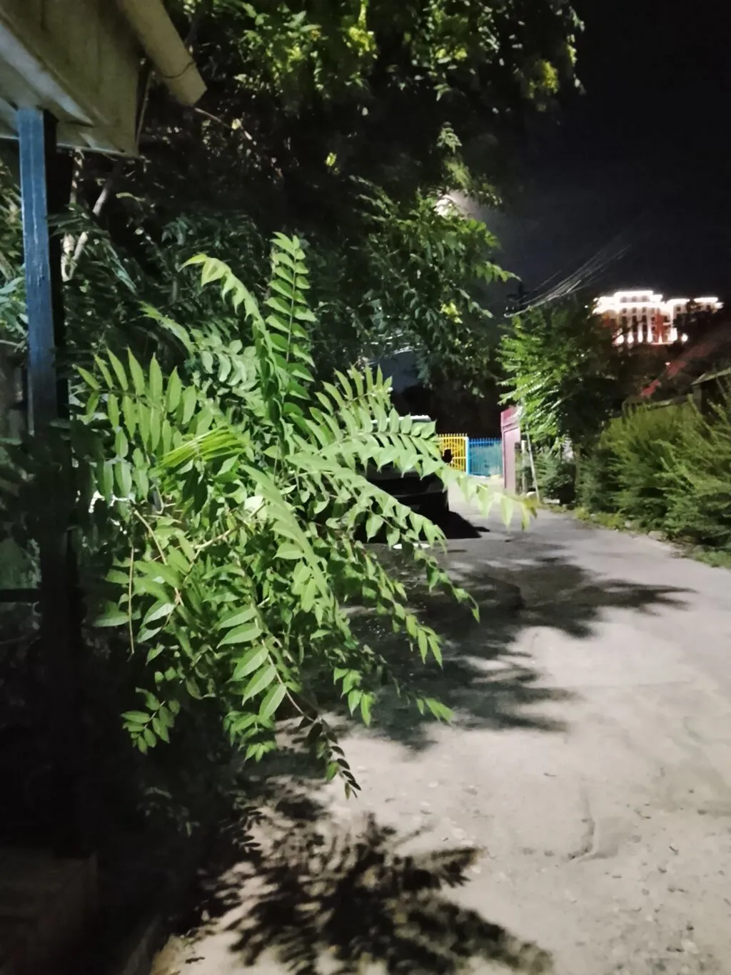 Гостиница, Бишкек — фото 10